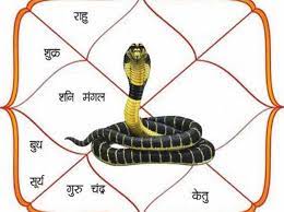 Kaala Sarpa Dosha Nivarthi (Remedy)